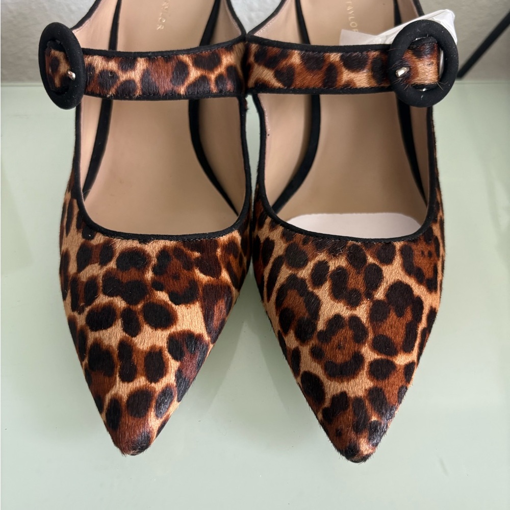 Ann Taylor Leopard Print Heels